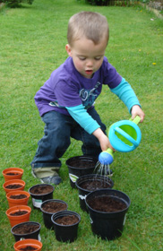 Planting seeds