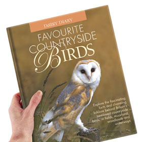 Win Favourite Country Birds