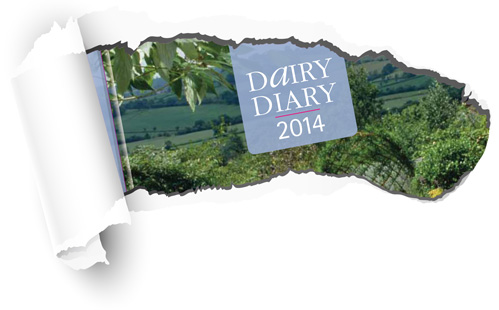 A sneak preview of the 2014 Dairy Diary