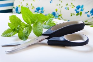 Top 5 Kitchen Cheats