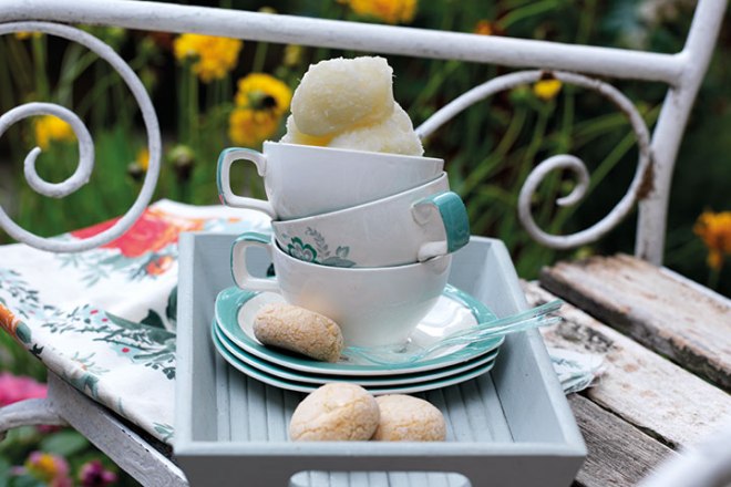 Pear & Ginger Sorbet