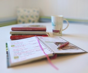 Dairy Diary 2016 planning