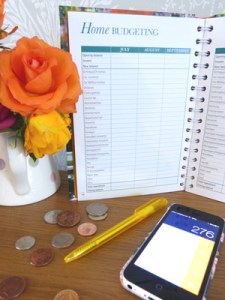 Home Budget with the Dairy Diary