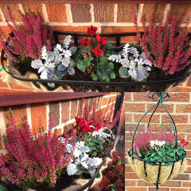 Dairy Diary 2017 gardening feature