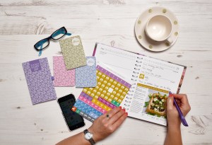 2017-dairy-diary-set-with-memorable-dates-stickers