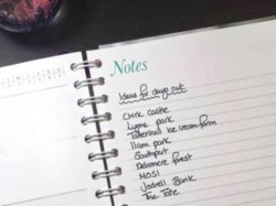 Diary Diary 2017 notes