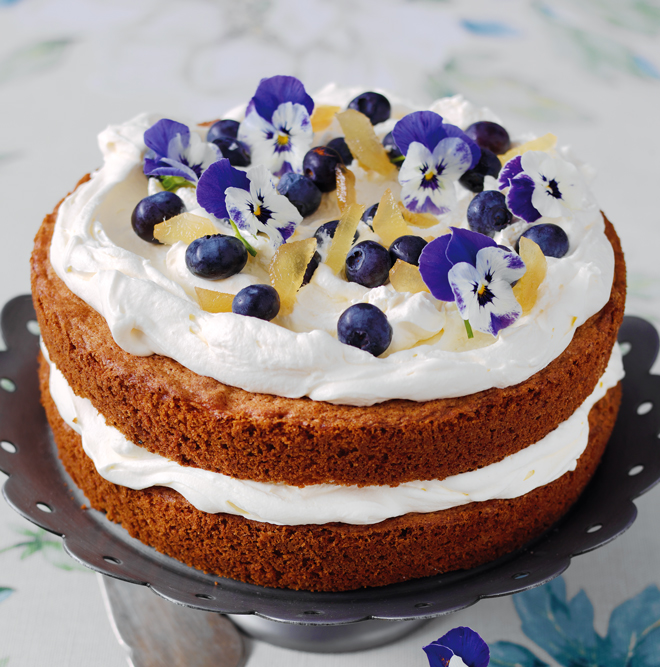 Coffee Sponge with Ginger Cream